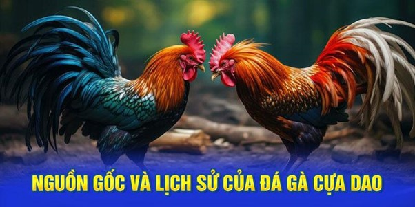 Nguồn gốc và lịch sử của đá gà cựa dao