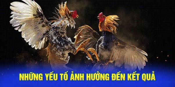 Những Yếu Tố Ảnh Hưởng Đến Kết Quả